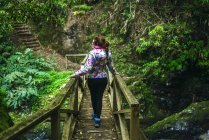 Açores, São Miguel, Mulher caminhando sobre uma ponte de madeira através da floresta — Fotografia de Stock