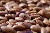 Red Pinto Beans, close-up — Stock Photo
