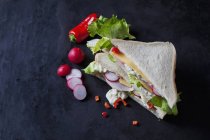 Primer plano de Sandwich con jamón y queso - foto de stock