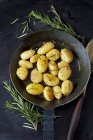 Fried potatoes with rosmary in pan — Stock Photo