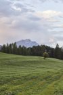 Áustria, Tirol, planalto de Mieming, prado cortado após o pôr do sol — Fotografia de Stock