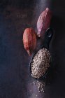 Spoon of crushed raw cacao nibs and  cacao pods on rusty metal — Stock Photo