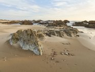 Sudafrica, Western Cape, Knysna, Buffalo Bay, spiaggia rocciosa — Foto stock