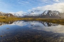 Iceland, Hofn, Mountain reflection in a pond — Stock Photo
