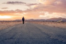 USA, California, Joshua Tree, young guy walks along a road while sunset — Stock Photo