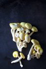 Golden Oyster Mushrooms on dark metal — Stock Photo