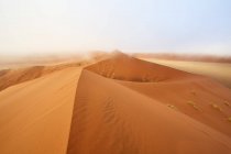 Namibia, Namib Desert, Sossusvlei, Namib-Naukluft National Park, Dune 45 and morning fog — Stock Photo