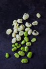 Peeled broad beans on dark ground — Stock Photo