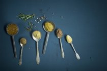 Homemade mustard, different sorts on spoon, honey mustard, sweet mustard, red wine mustard, herb mustard, grainy mustard, hot mustard — Stock Photo
