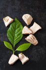 Geschnittene Jackfrucht und Blatt auf dunklem Grund — Stockfoto
