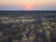 Afrika, Namibia, Damaraland, Sonnenuntergang über Buschland — Stockfoto