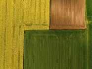 Сербия. Сельскохозяйственные поля с желтым рапсовым полем, вид с воздуха летом — стоковое фото