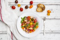 Panzanella à base de ciabatta rôti, fusée, oignons rouges, tomates et basilic — Photo de stock