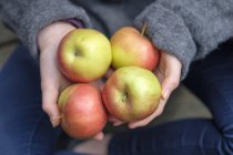 Mains tenant quatre pommes, gros plan — Photo de stock