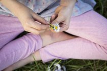 Hände eines kleinen Mädchens, das auf einer Wiese sitzt und Gänseblümchen in Großaufnahme hält — Stockfoto