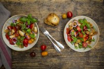 Panzanella made of roasted Ciabatta, rocket, red onions, tomatoes and basil — Stock Photo