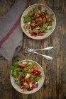 Panzanella hecha de Ciabatta asado, cohete, cebollas rojas, tomates y albahaca — Stock Photo