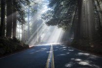 USA, California, Highway 1, sunbeams — Stock Photo