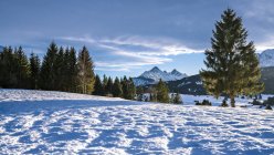Allemagne, Bavière, Haute-Bavière, Garmisch-Partenkirchen, Werdenfelser Land, butte-prairie en hiver — Photo de stock