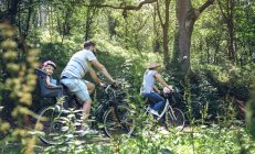 Bicicletas de equitação familiar em uma floresta — Fotografia de Stock