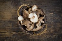 Organic Shitake mushrooms on dark wood — Stock Photo