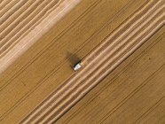 Serbia, Vojvodina. Combine harvester on a field of wheat, aerial view — Stock Photo
