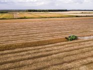 Serbia, Vojvodina, Combine harvester on a wheat, aerial view — Stock Photo