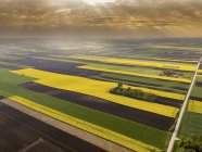 Сербия. Сельскохозяйственные поля с желтым рапсовым полем, вид с воздуха летом — стоковое фото