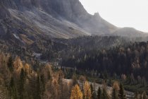Italy, Dolomites scenics with trees — Stock Photo