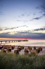 Германия, Озил, Мбаппе, прибрежный курорт, пляж на закате — стоковое фото