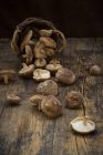 Органічні Шиаке гриби на темне дерево — стокове фото