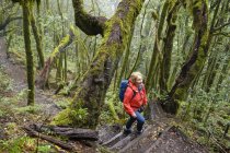 Espanha, Ilhas Canárias, La Gomera, caminhadas de mulheres através da floresta de nuvens no Parque Nacional de Garajonay — Fotografia de Stock