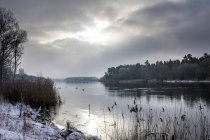 Alemanha, Brandemburgo, Havelland, Rio Havel no inverno — Fotografia de Stock