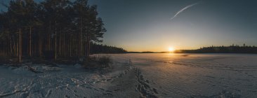 Svezia, Sodermanland, lago ghiacciato Navsjon in inverno al tramonto — Foto stock