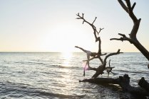 Молодая женщина практикует йогу на упавшем дереве в море на закате — стоковое фото