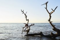 Mujer joven practicando yoga en un árbol caído en el mar - foto de stock