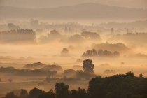 Deutschland, Baden-Württemberg, Kreis Konstanz, Blick auf Radolfzeller Aach am Morgen bei Nebel — Stockfoto