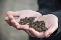Mani che tengono il terreno con vermi — Foto stock
