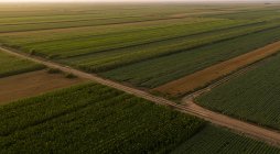 Serbia, Voivodina, Vista aérea de los campos de maíz, trigo y soja a finales del verano por la tarde - foto de stock
