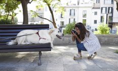 Mujer joven tomando fotos de su perro con cámara vintage - foto de stock