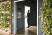 Reifer Geschäftsmann steht in grünem Büro vor der Tür — Stockfoto