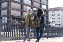 Amigos andando na ponte, conversando, se divertindo, visão traseira — Fotografia de Stock