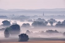Deutschland, Baden-Württemberg, Kreis Konstanz, Radolfzell, Blick auf Radolfzeller Aach am Morgen bei Nebel — Stockfoto
