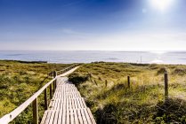 Germania, Schleswig-Holstein, Sylt, passerella in legno attraverso le dune — Foto stock