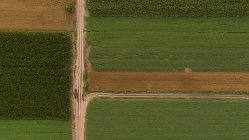 Сербия, Воеводина, Вид с воздуха на кукурузные, пшеничные и соевые поля во второй половине лета — стоковое фото