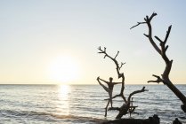 Jovem praticando ioga em uma árvore caída no mar ao pôr do sol — Fotografia de Stock