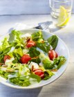 Mixed salad with water melon and roasted pine nuts — Stock Photo