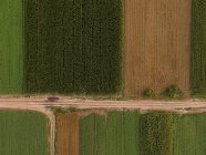 Сербия, Воеводина, Вид с воздуха на кукурузные, пшеничные и соевые поля во второй половине лета — стоковое фото