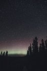 Canadá, Columbia Británica, Parque Provincial Liard River Hot Springs, Luces del Norte, cielo estrellado por la noche - foto de stock
