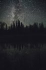 Канада, Британская Колумбия, Liard River Hot Springs Park, звездное небо ночью — стоковое фото